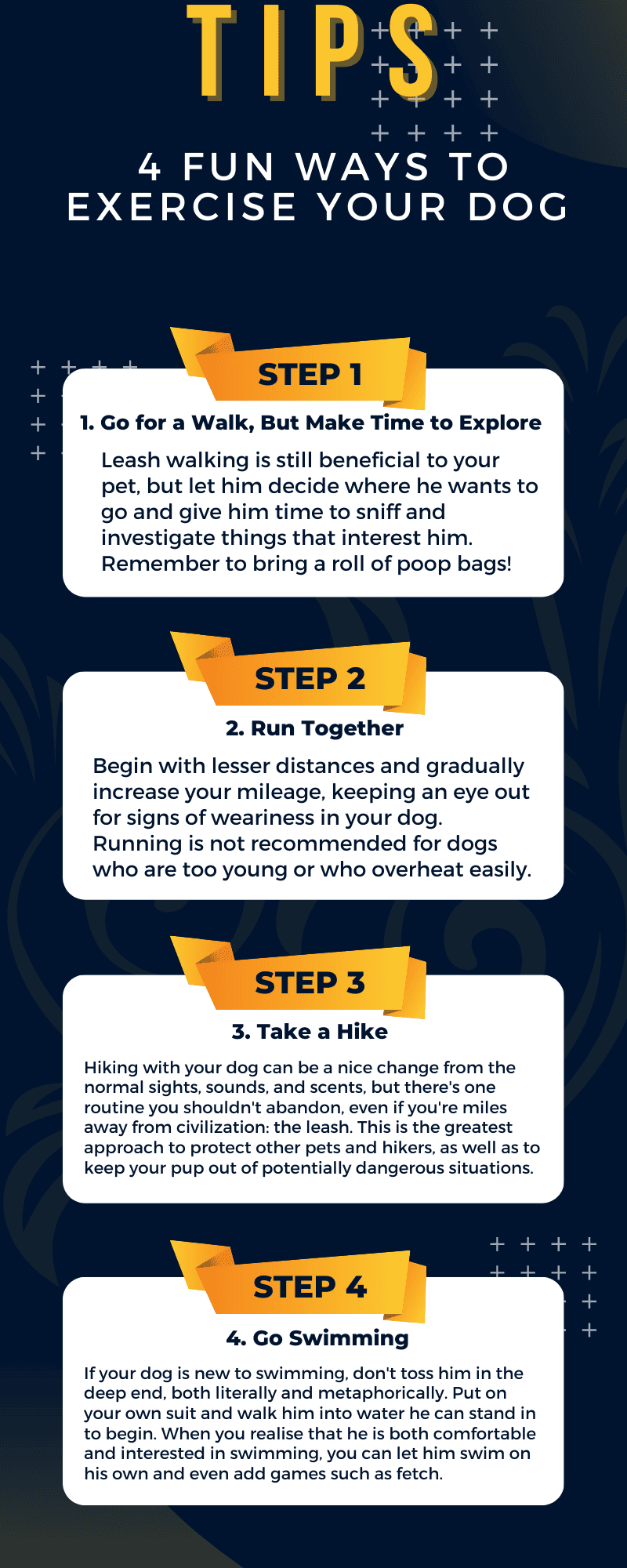 9 Fun Ways to Exercise Your Dog 