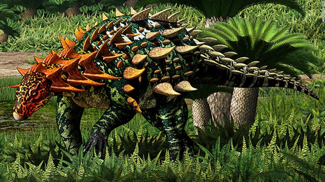 A new type of armored dinosaur has been found in southwest China