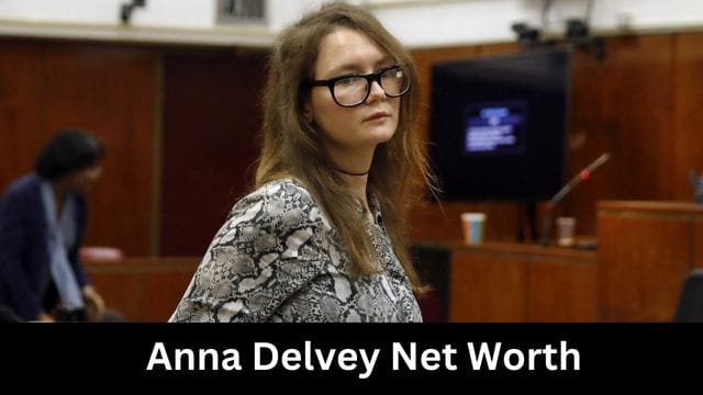Anna Delvey Net Worth
