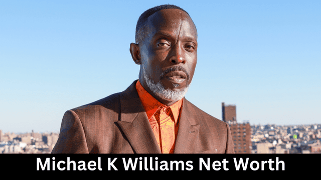 Michael K Williams Net Worth