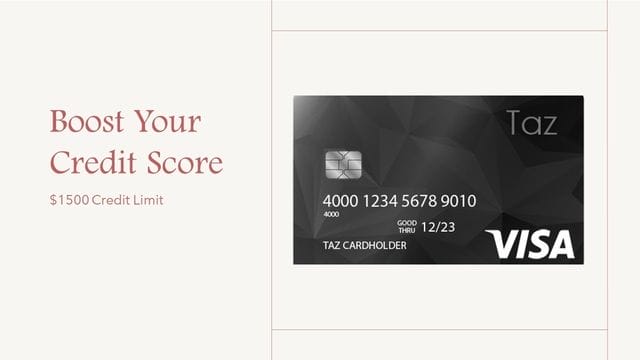 Taz Credit Card